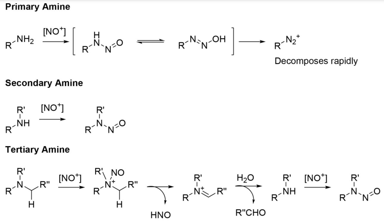 Nitrosamines - Risk Assessment - Primary Amine